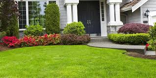 Lawn Care Albany NY